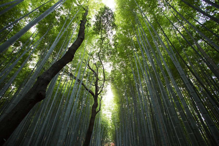 The Secret Spots: Finding Uncrowded Breaks (Vol. 18)
