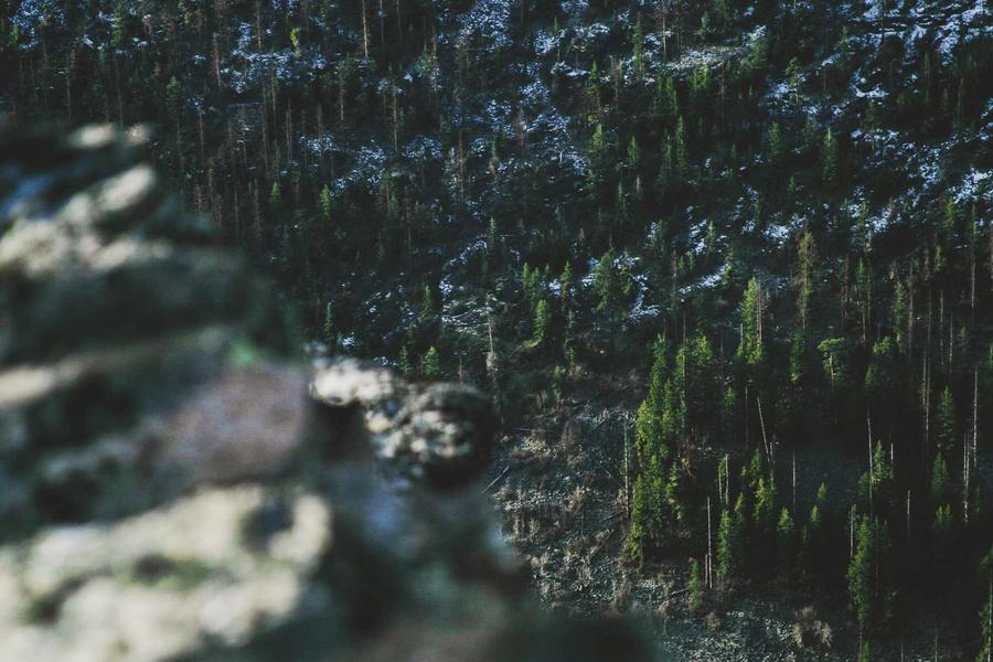 The Secret Spots: Finding Uncrowded Breaks (Vol. 2)