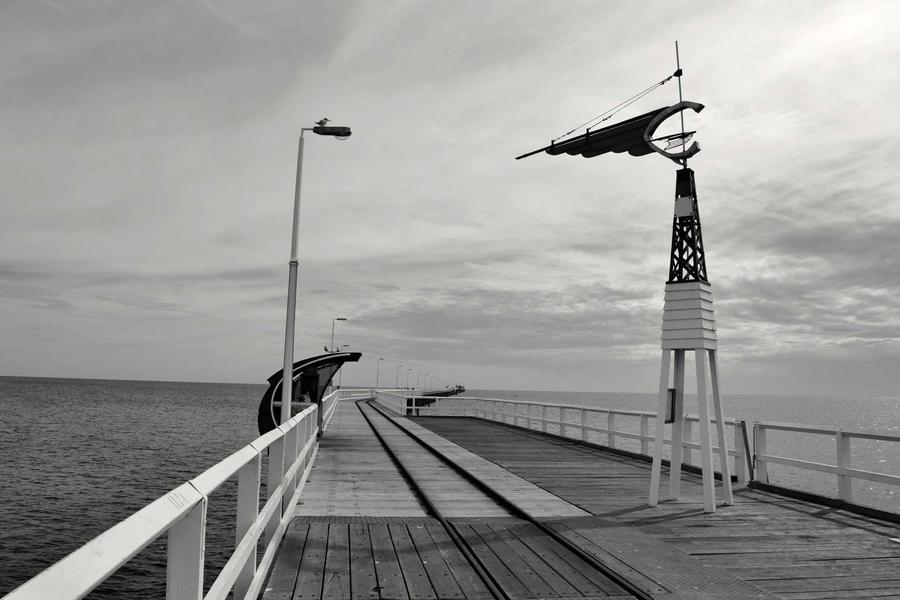 How California Surf Culture Shaped the World (Vol. 5)