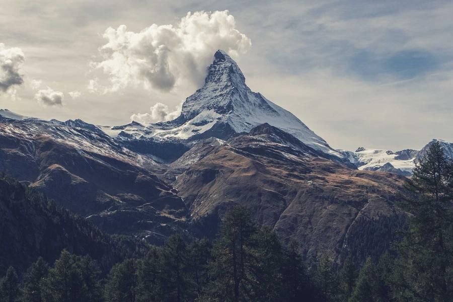 Building a Data-Driven Team from Scratch (Vol. 7)