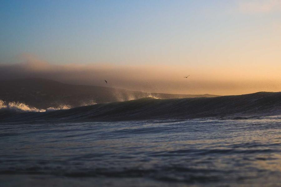 How California Surf Culture Shaped the World (Vol. 6)
