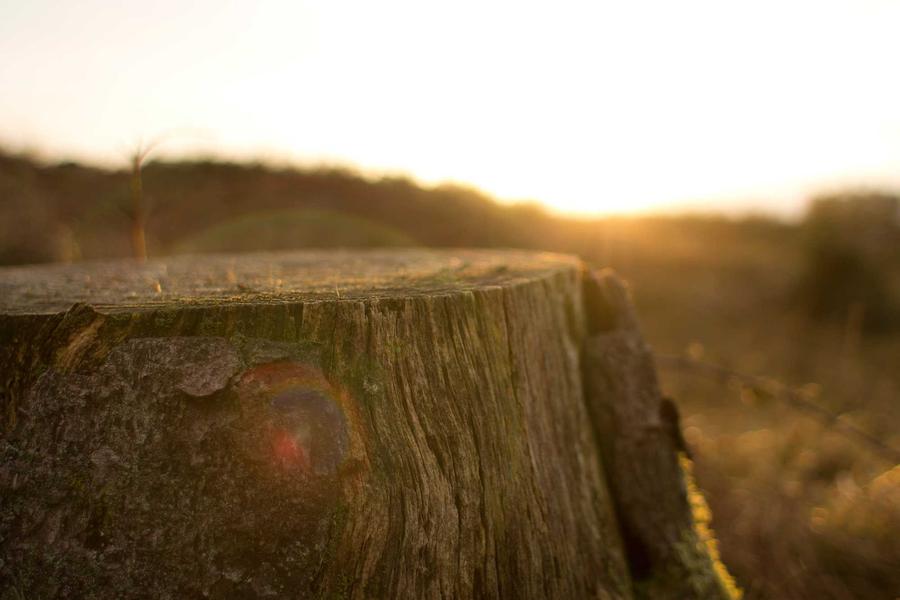 API Rate Limits, Explained