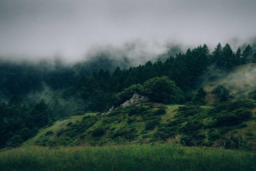 The Secret Spots: Finding Uncrowded Breaks (Vol. 10)